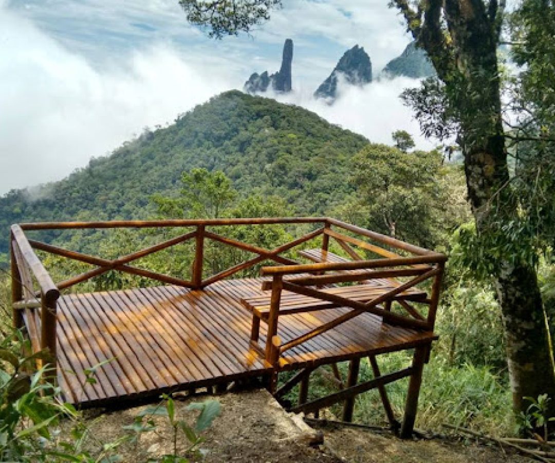 Vista de uma das trilhas do PARNASO