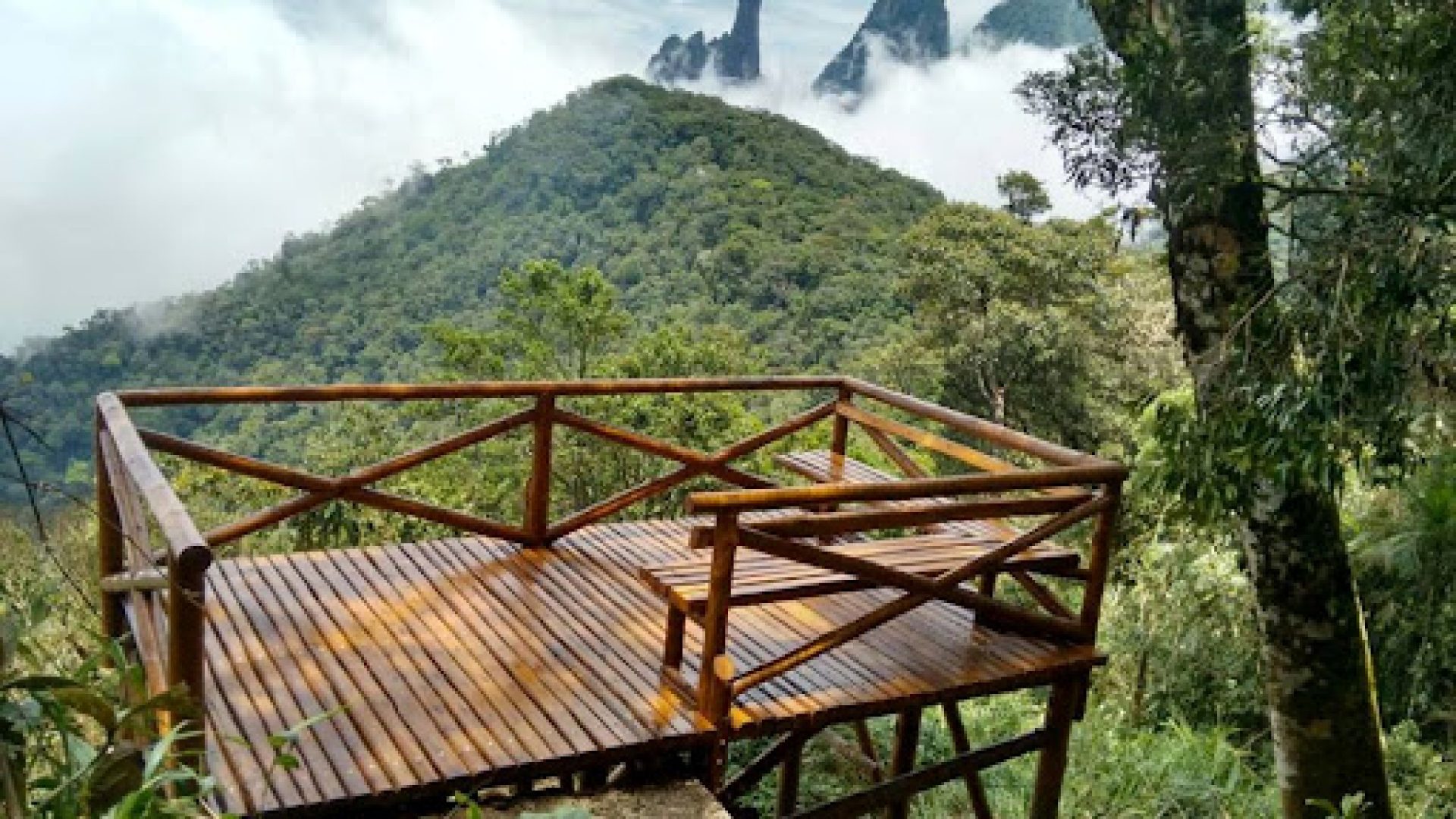 Vista de uma das trilhas do PARNASO